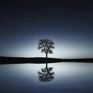 Backlit mirror