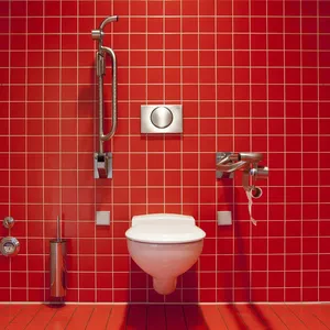 Toilet and hidden storage